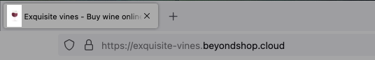 Favicon_Example_EN.png