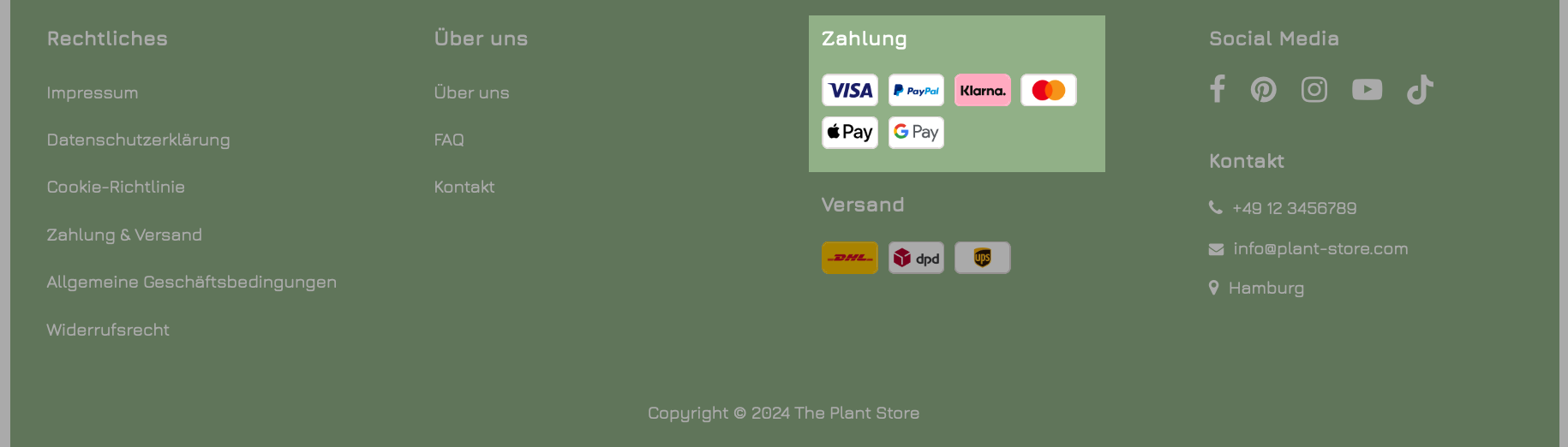 Beispiel für die Anzeige von Zahlungsmethoden in einem Spaltenlayout-Footer