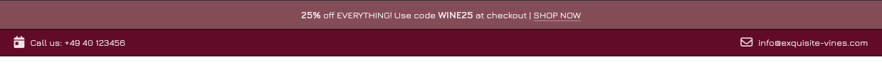 Example of displaying contact details in the header
