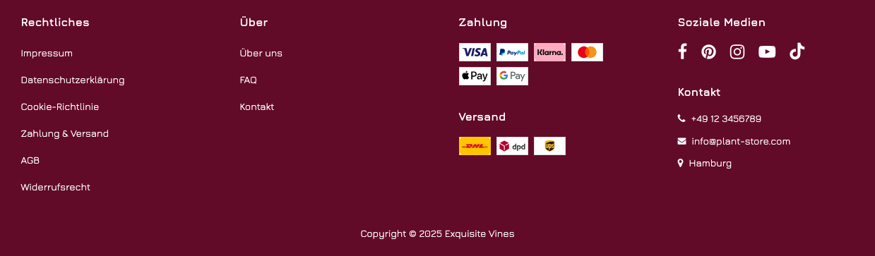Beispiel für die Anzeige von Kontaktdaten im Footer