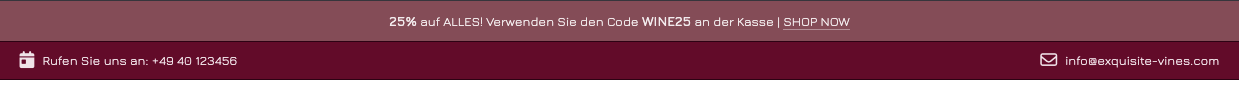 Beispiel für die Anzeige von Kontaktdaten im Header