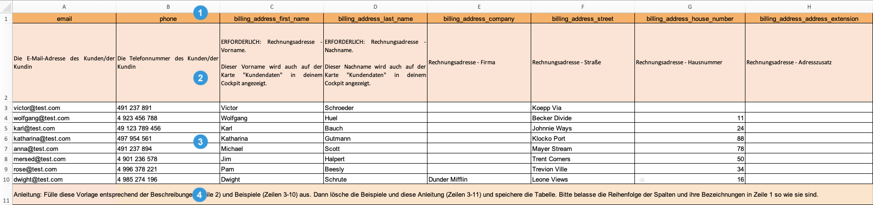 HC-BYD-Import_customers_DE.png